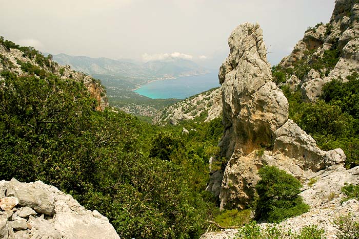 Panorama, sullo sfondo Cala Luna