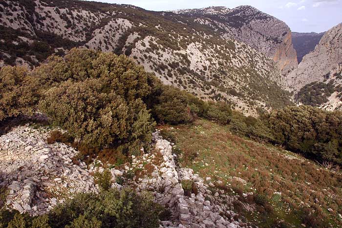 Vista_dal_Nuraghe_Gorroppu